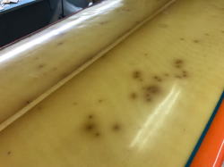 �I�[�o�[�z�[�� �r���n�~���g�� 31_3